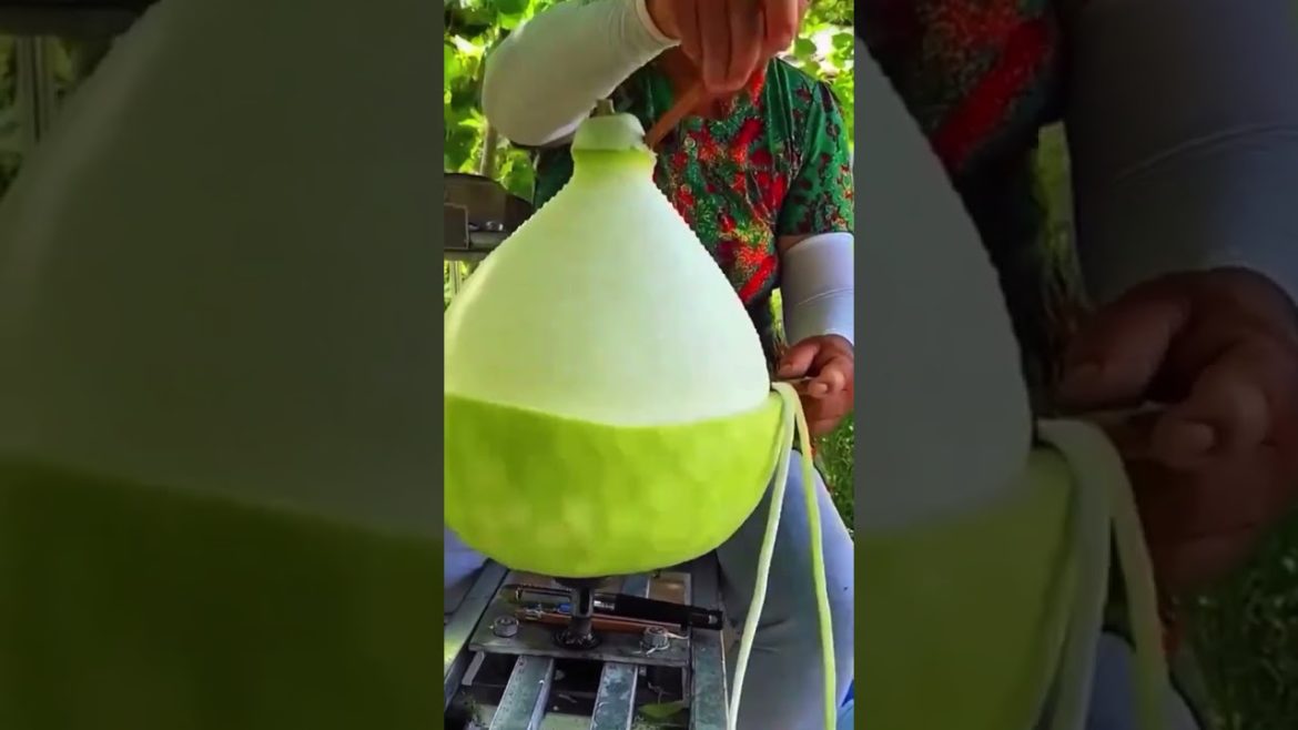 Spinning yarn from Gourd #food #tips