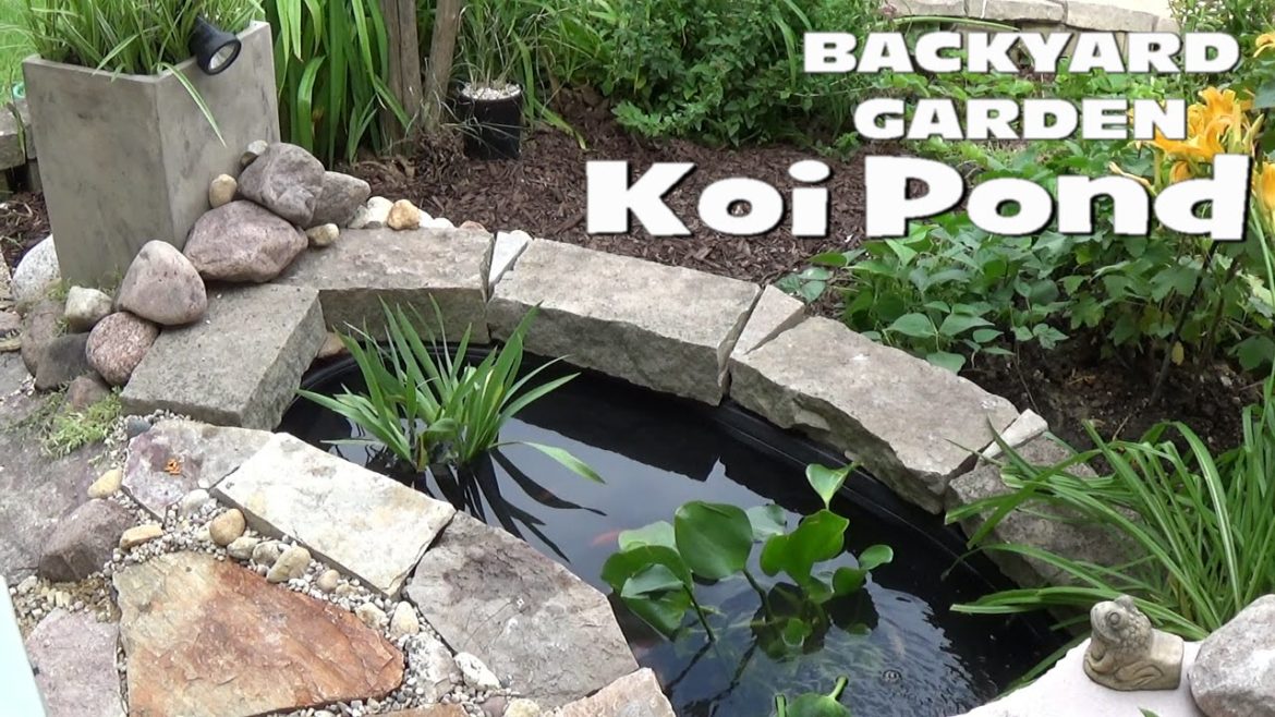 Small Backyard Garden Koi & Goldfish Pond - Setup