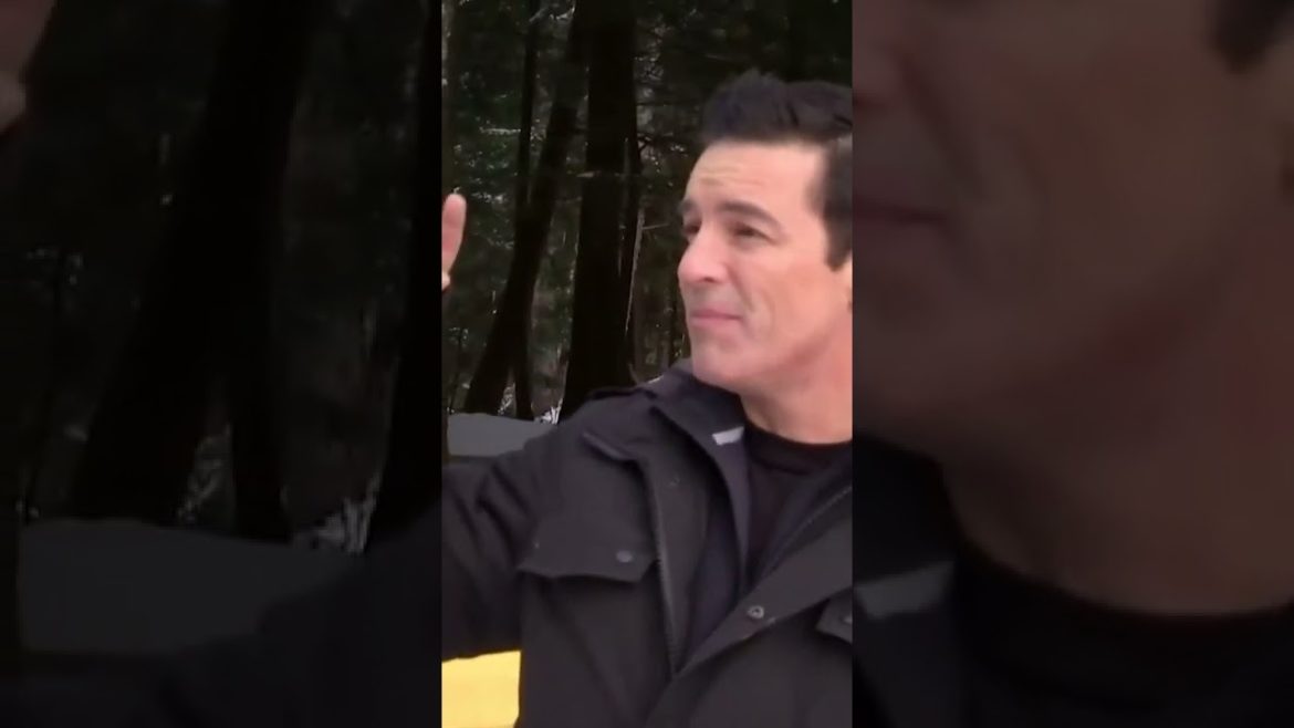 Perfect Garden Design #shorts