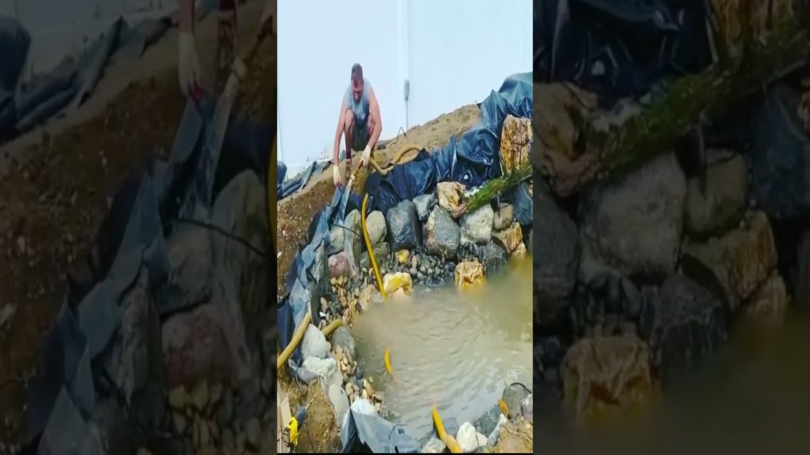 Real Backyard paradise – building a Pond with a fish cave Real Backyard paradise - building a Pond with a fish cave