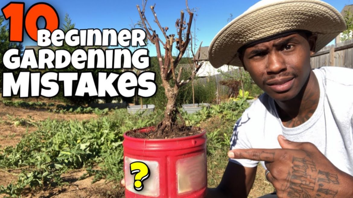 10 BEGINNER GARDENING MISTAKES