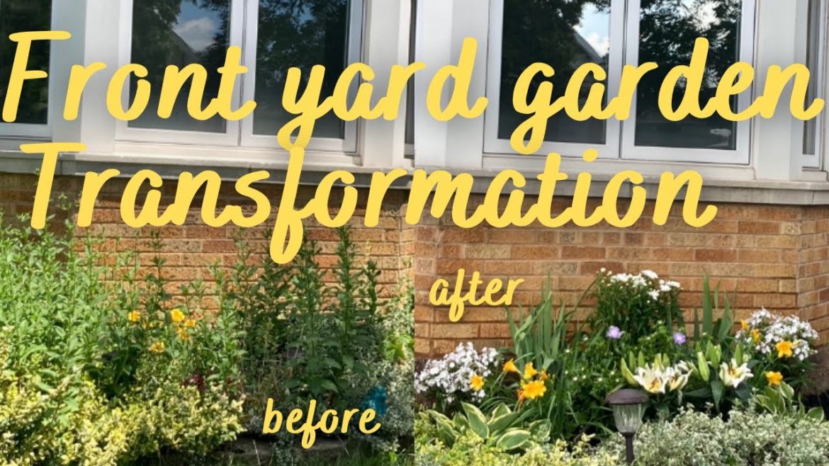Friend’s front yard garden Transformation | Before and after Friend’s front yard garden Transformation | Before and after