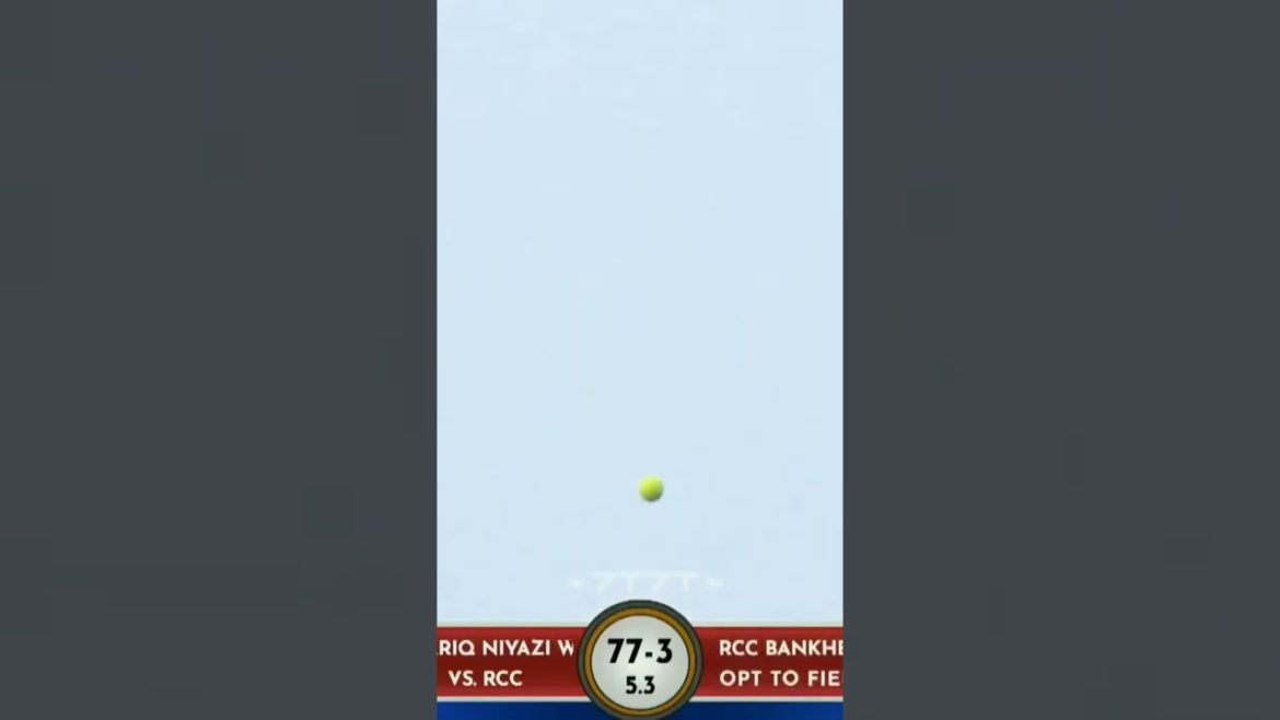 Back shot six #short #shortvideo