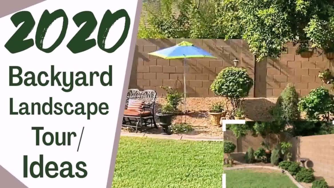Backyard Design Ideas Az