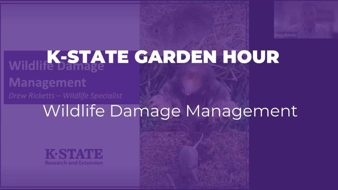 K-State Garden Hour: Wildlife Damage Management K-State Garden Hour: Wildlife Damage Management