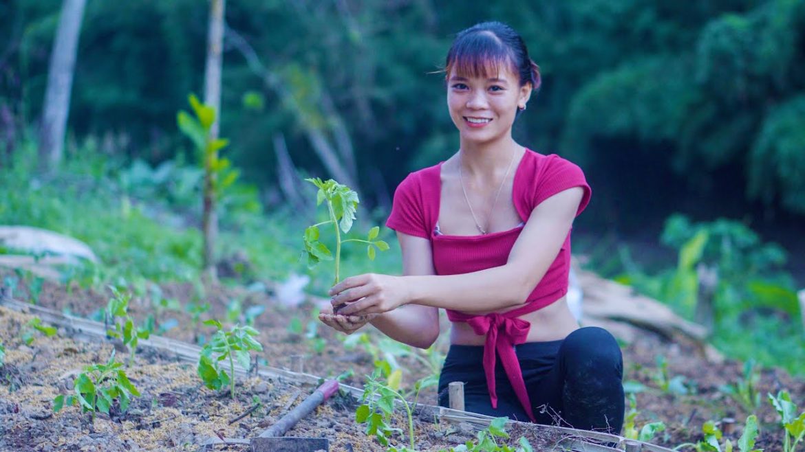 Gardening, Planting Clean Vegetables, Taking Care of Pets - Live With Nature - Ngân Daily Life