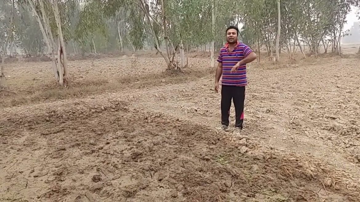 Kitchen Gardening at Home by saadat ali khan mayo Kitchen Gardening at Home by saadat ali khan mayo