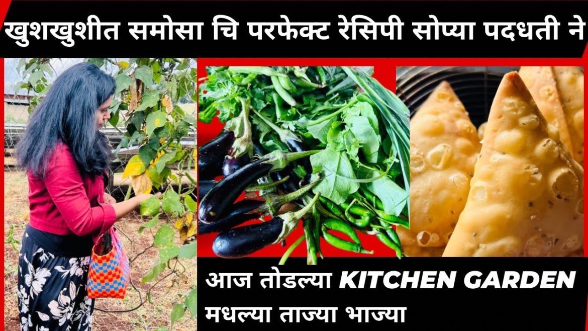 खुशखुशीत समोसा चि परफेक्ट रेसिपी सोप्या पदधती ने | आज तोडल्या kitchen Garden मधल्या ताज्या भाज्या खुशखुशीत समोसा चि परफेक्ट रेसिपी सोप्या पदधती ने | आज तोडल्या kitchen Garden मधल्या ताज्या भाज्या