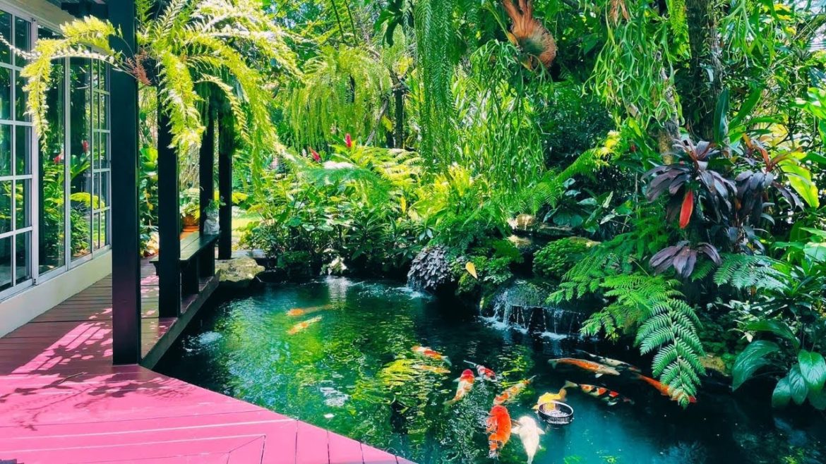 Most Beautiful Backyard Garden Koi Pond Design | Ultimate Koi Pond Ideas