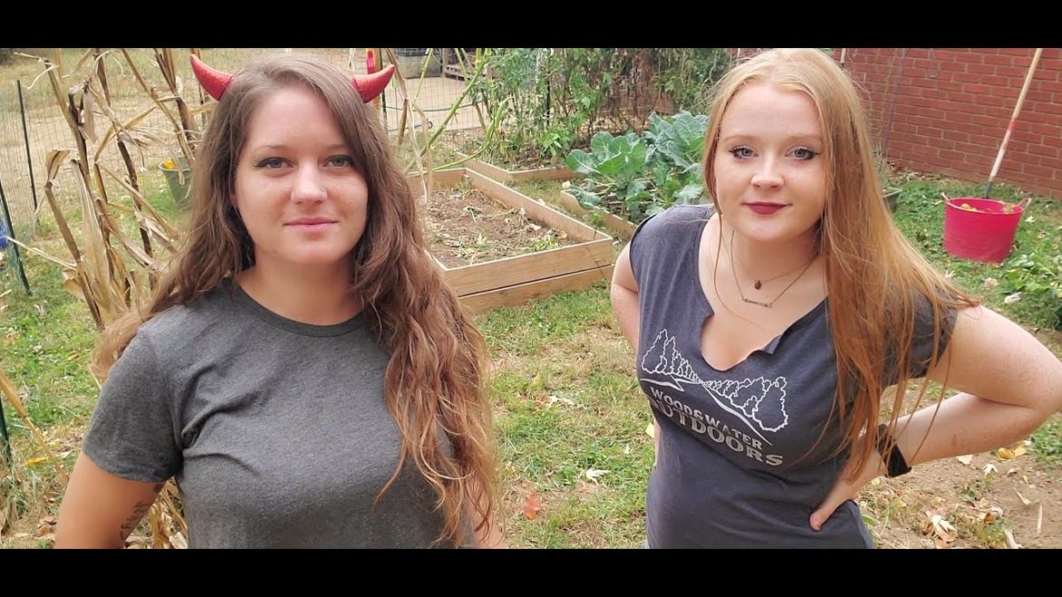 Halloween Garden, Seed Collecting Part 1