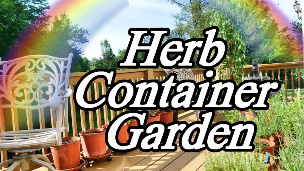 June Herb Container Garden,  Drying Spring Herbs, Green Stalk, Deck Correct