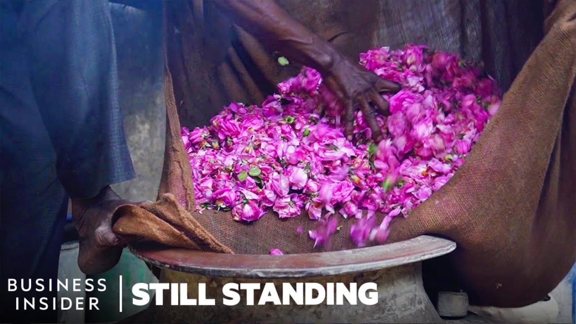 How India's Perfumers Recreate The Smell Of Rain On Earth | Still Standing How India's Perfumers Recreate The Smell Of Rain On Earth | Still Standing