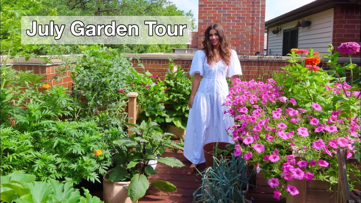July Container Garden Tour | Rooftop Balcony Garden July Container Garden Tour | Rooftop Balcony Garden