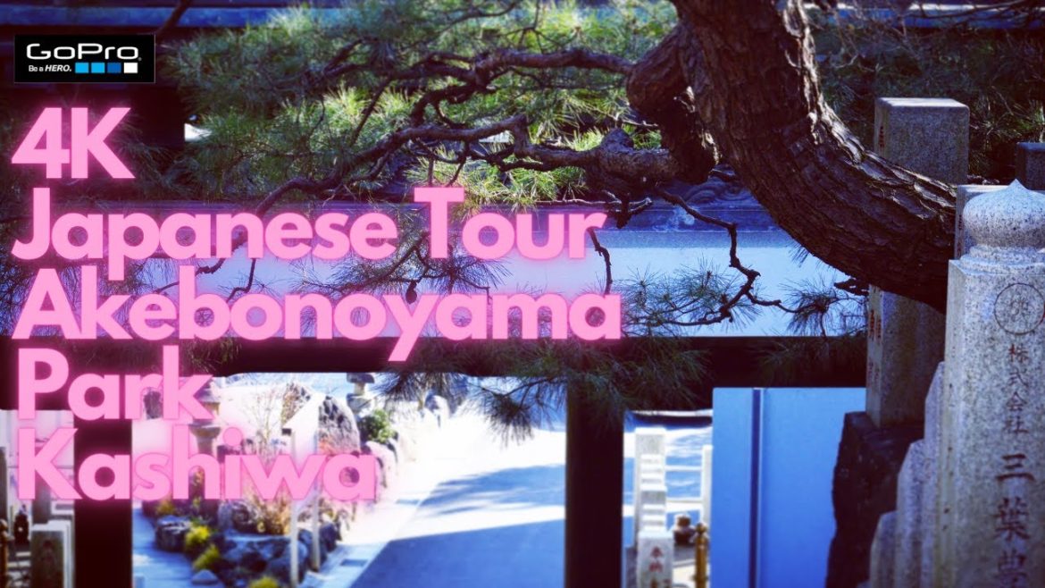 (4K) Japanese Garden Park Tour -Akebonoyama Park Fuse Kashiwa-Shi, Chiba Japan