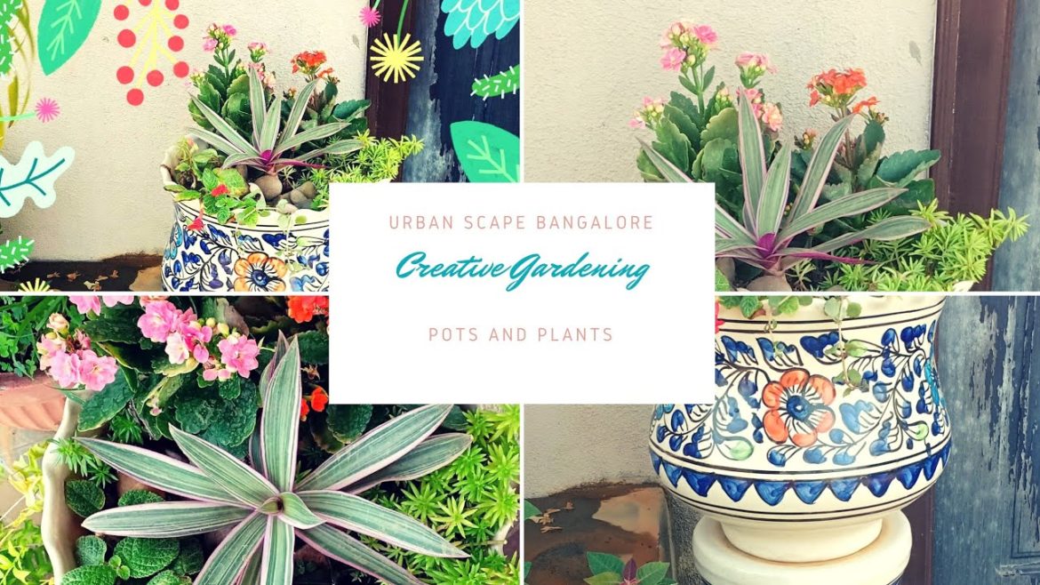 Container Gardening | DIY Gardening | Garden Show