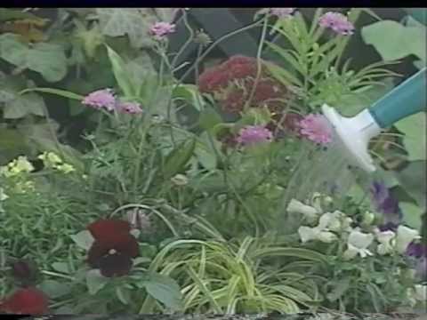 Common Sense Gardener Tips & Tricks – Segment 2 of 2 Common Sense Gardener Tips & Tricks - Segment 2 of 2