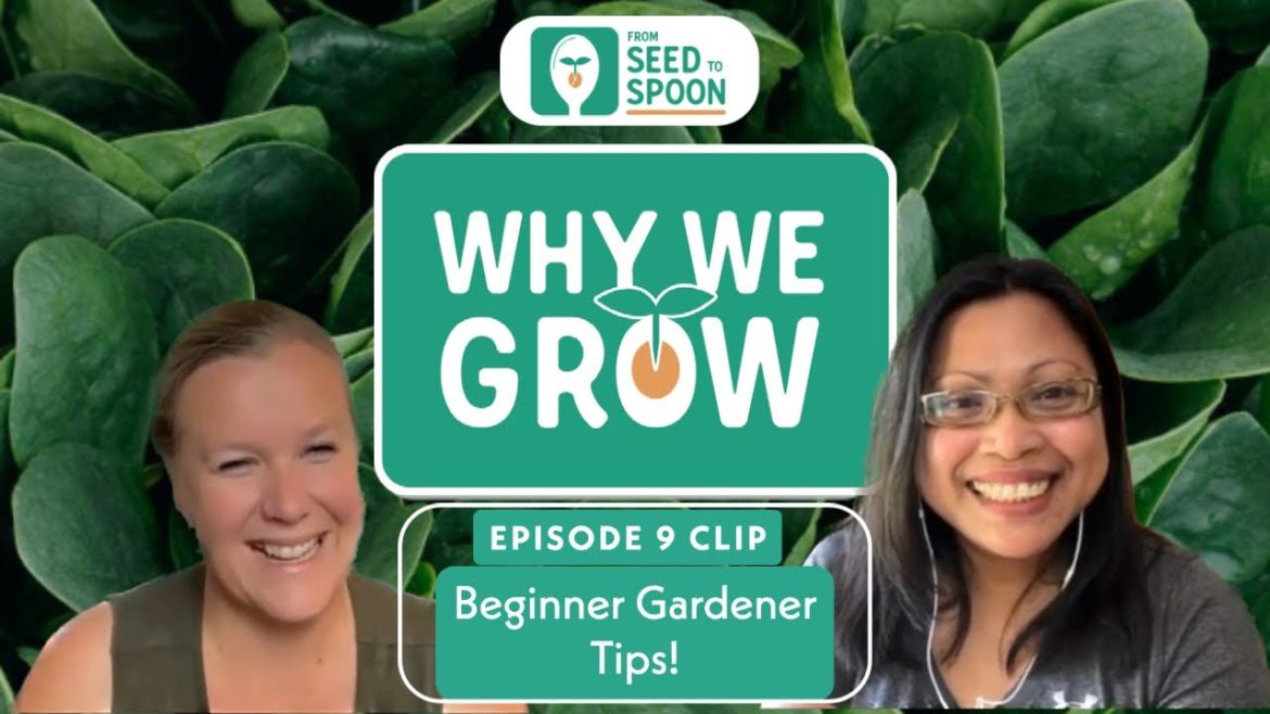 Beginner Gardening Tips! | Clip from Why We Grow Podcast #9