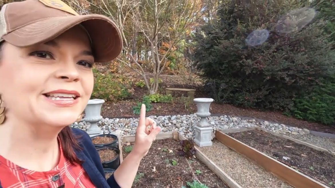 Prepping My Garden Boxes For Winter | Gardening with Creekside Prepping My Garden Boxes For Winter | Gardening with Creekside