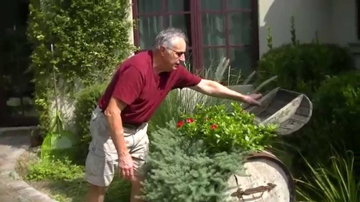 Francis the Gardener TIP #7: Consider a wine barrel planter