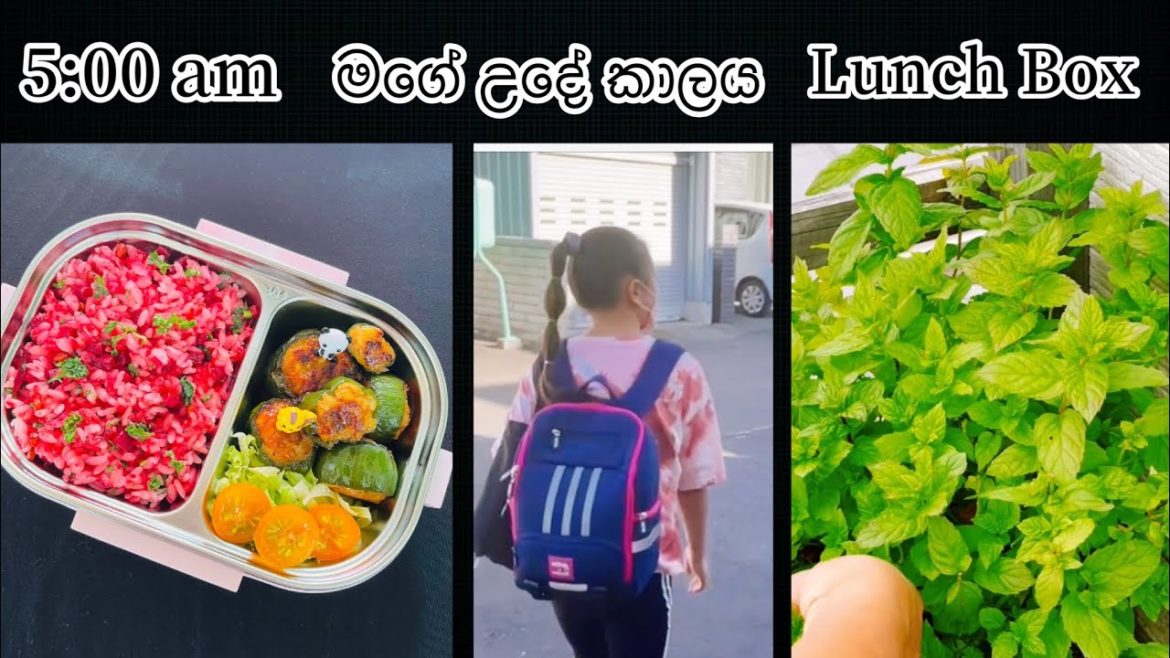 5:00 am මගෙ උදෙ වරුව| 💕 Lunch box recipe | 🌸 おべんとう🥰 Life in japan🇯🇵🇱🇰