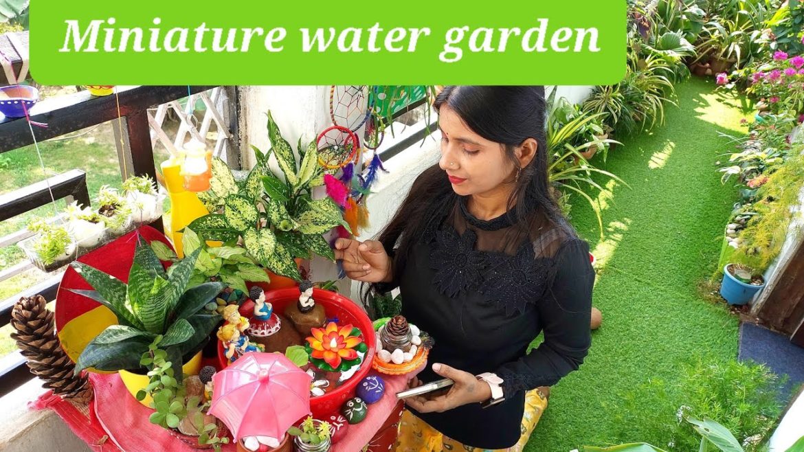 Zero Maintenance Miniature Water Garden l DIY Water Garden l Low Budget Water Garden Makeover l