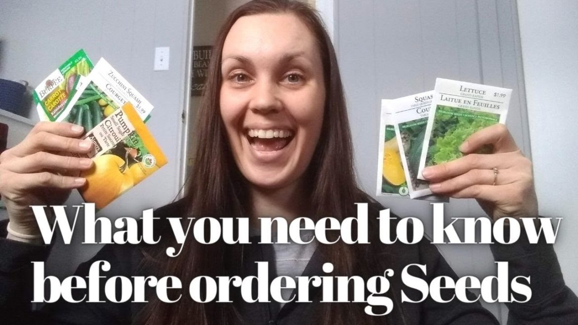 What you need to know before you order seeds//Beginner Gardener Tips//Tips for buying seeds