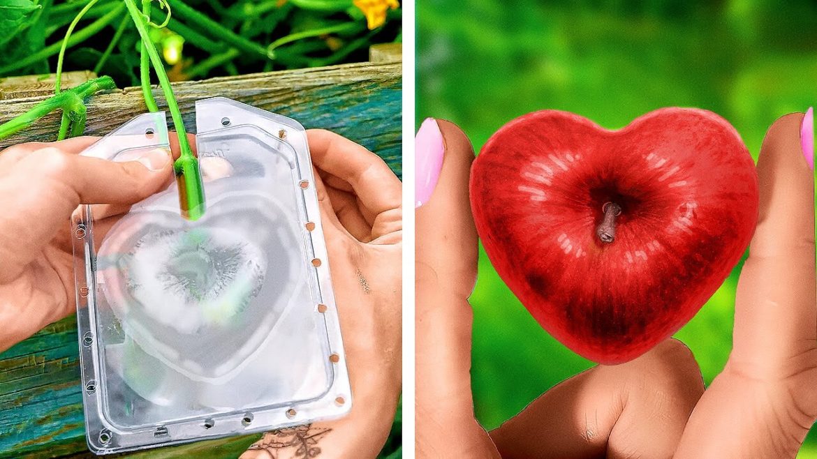 Smart Gardening Tips & Tricks You'll Fall In Love With Smart Gardening Tips & Tricks You'll Fall In Love With