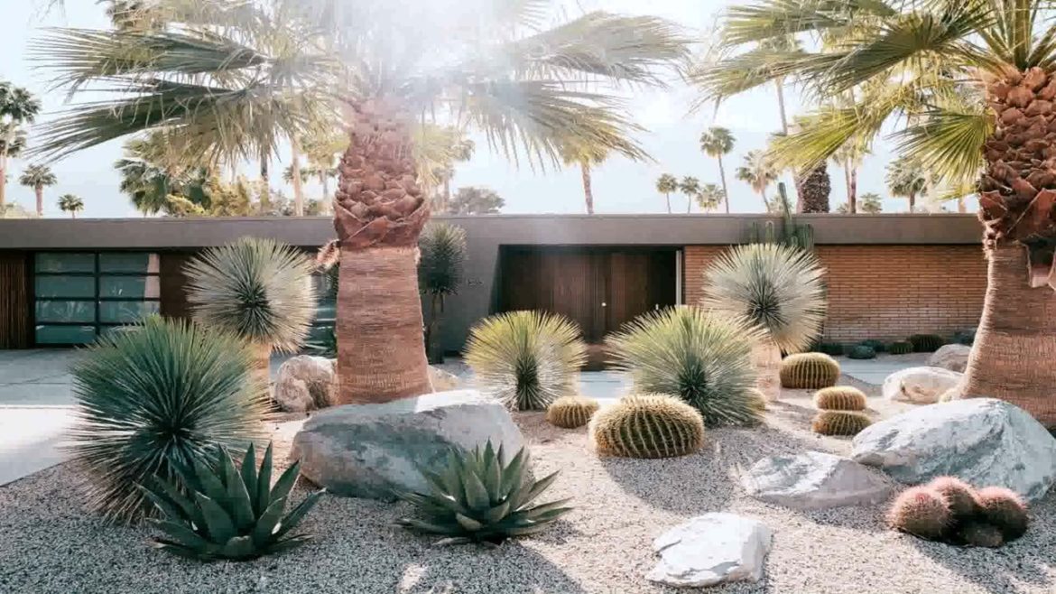 Backyard Desert Landscape Design Ideas