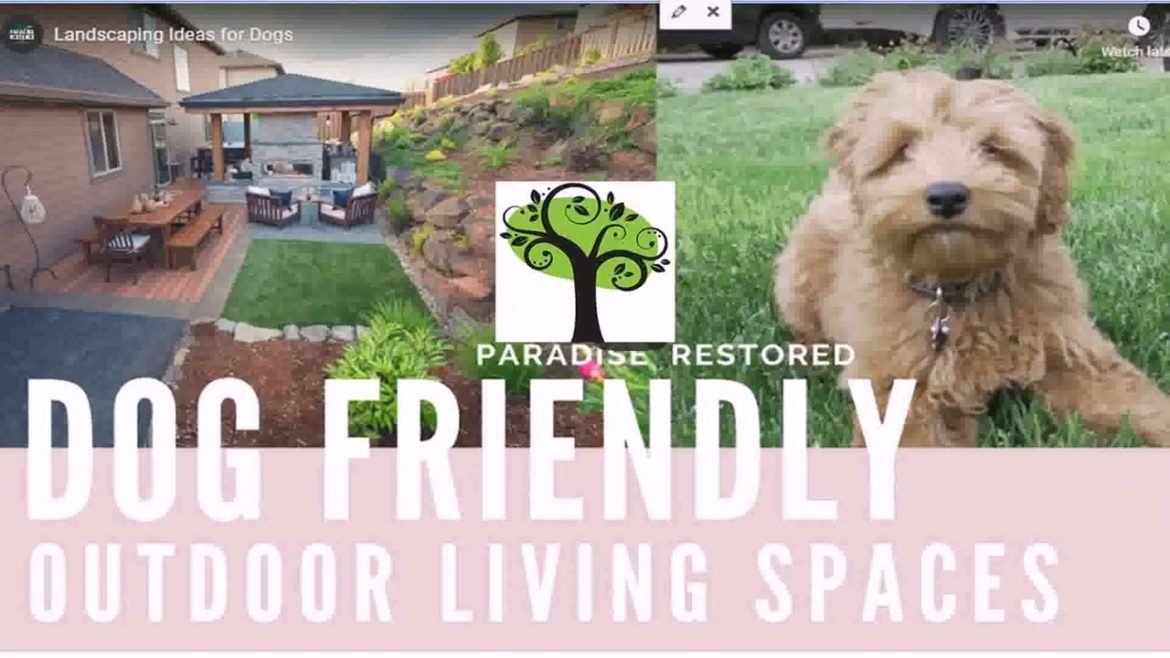 Back Yard Landscape Ideas With Dogs