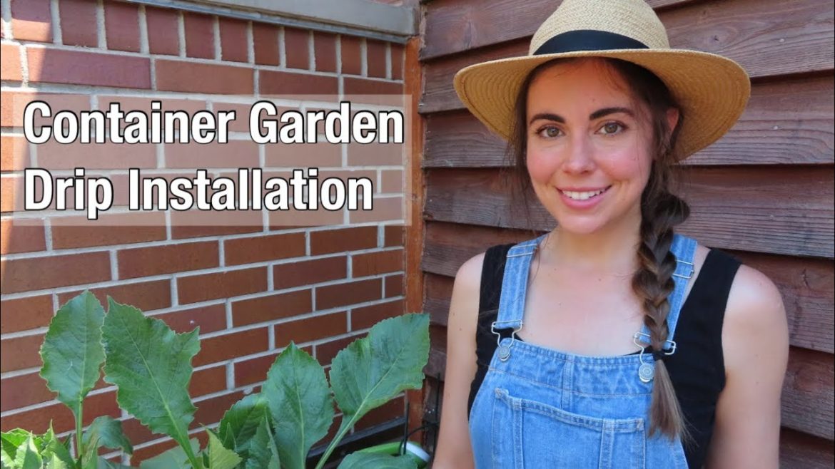 Finishing the Drip System in My Container Garden | Balcony Garden