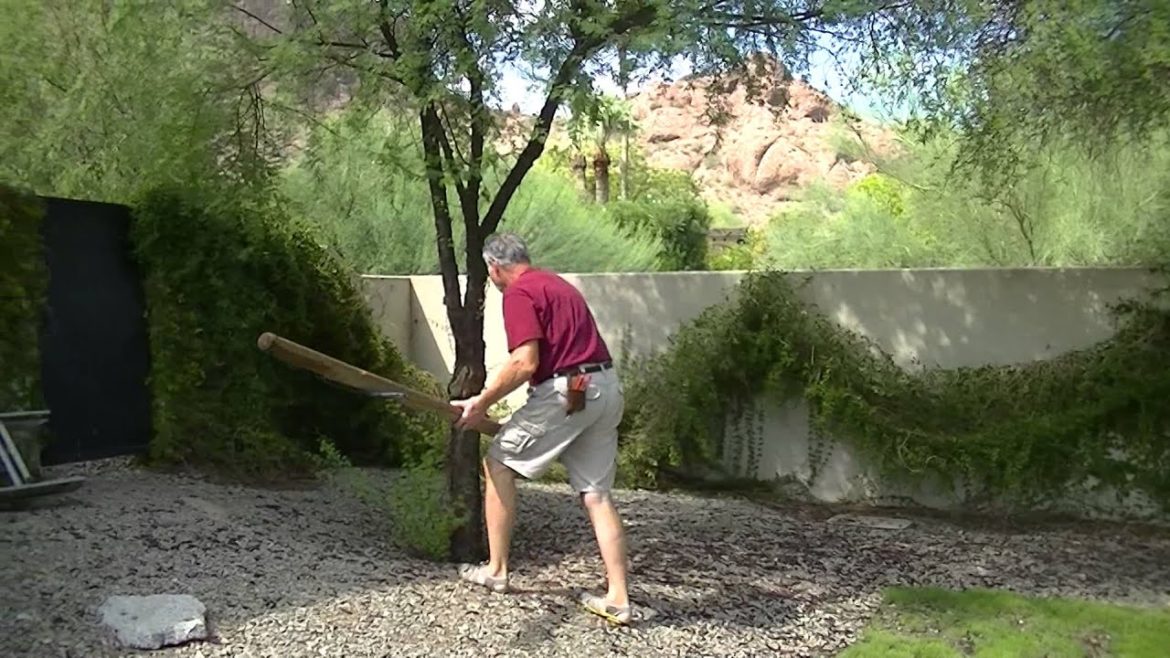 Francis the Gardener - Tip #10 - Dealing with Storm damage