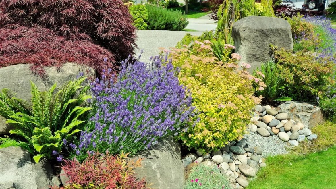 🌺Идеи для сада Оригинальный дизайн и декор участка / Examples of garden design / A – Video 🌺Идеи для сада Оригинальный дизайн и декор участка / Examples of garden design / A - Video