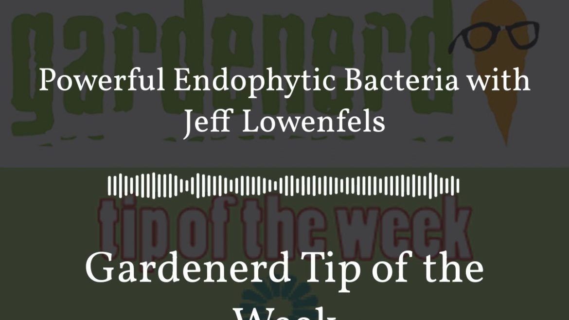 Gardenerd Tip of the Week – Powerful Endophytic Bacteria with Jeff Lowenfels Gardenerd Tip of the Week - Powerful Endophytic Bacteria with Jeff Lowenfels