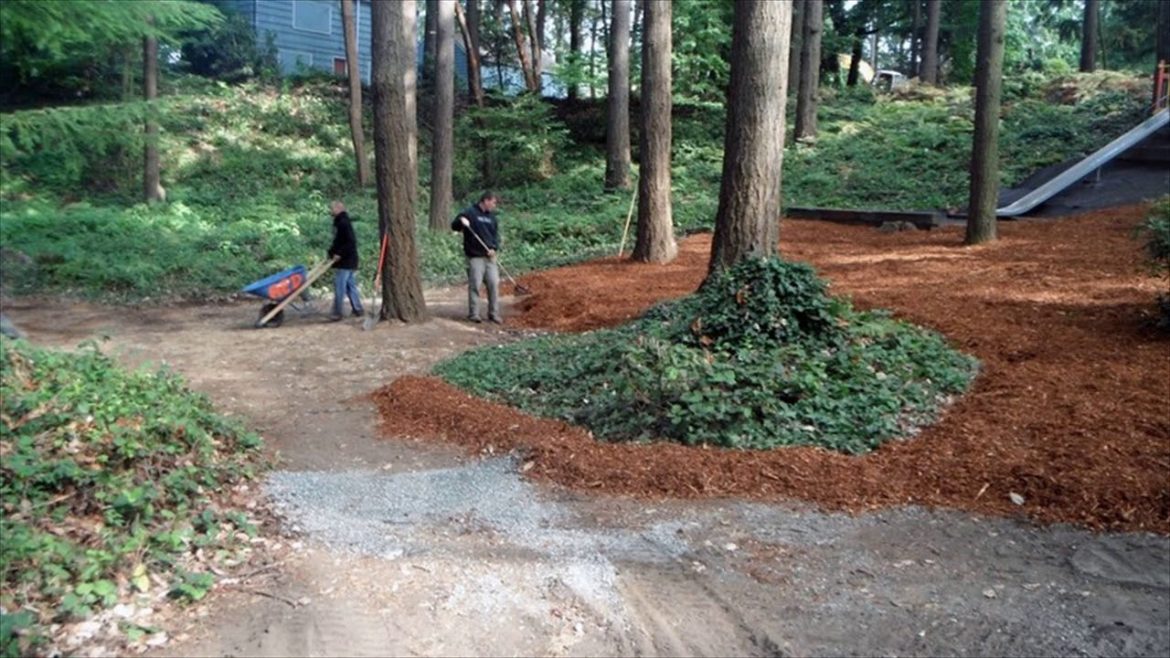 Landscaping Ideas For Wooded Area Landscaping Ideas For Wooded Area