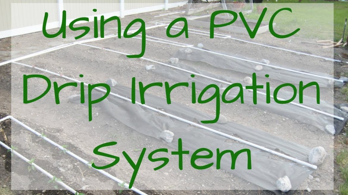 Using a PVC Drip Irrigation System in your Backyard Garden Using a PVC Drip Irrigation System in your Backyard Garden