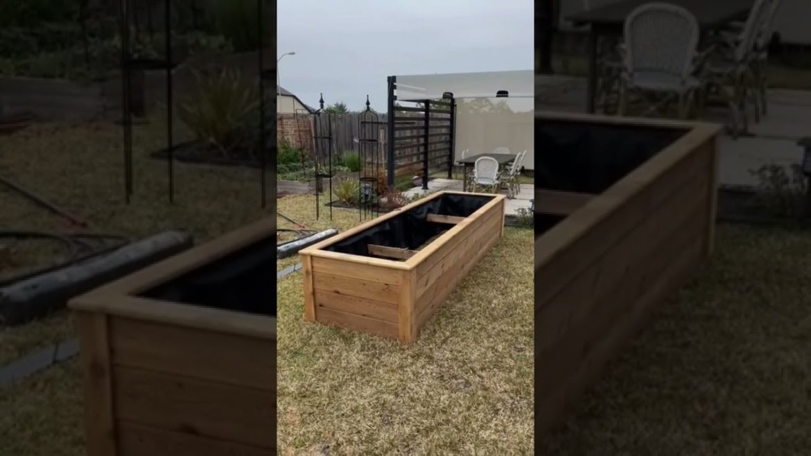 Garden design and decorations Garden design and decorations