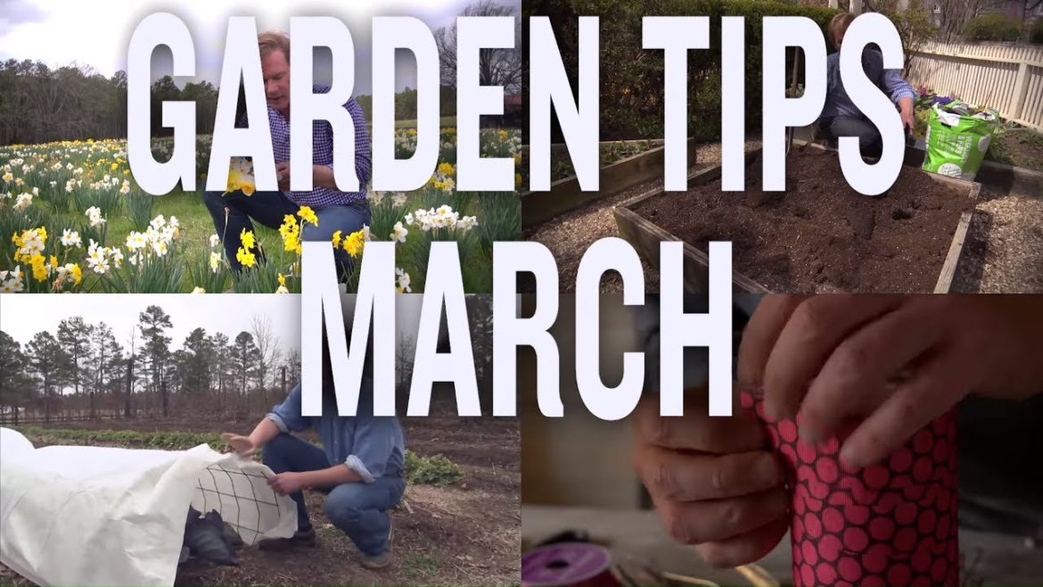 March Garden Tips and Projects: P. Allen Smith (2019)