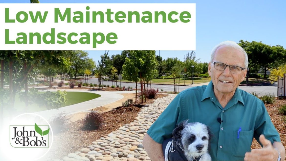Low Maintenance Landscape Ideas | Commercial & Residential (No Grass!)
