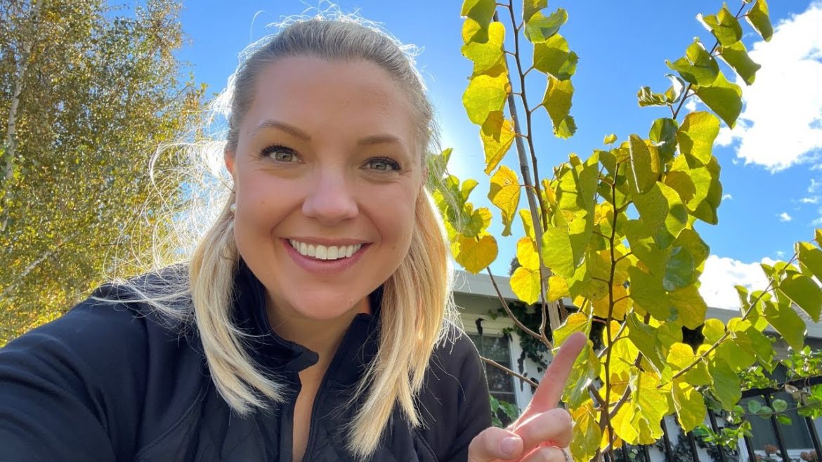 FINALLY Planting My Oklahoma Redbud! ππΌπ³ππΌ :: Plus Garden Tool Shopping at Home Depot! FINALLY Planting My Oklahoma Redbud! ππΌπ³ππΌ :: Plus Garden Tool Shopping at Home Depot!