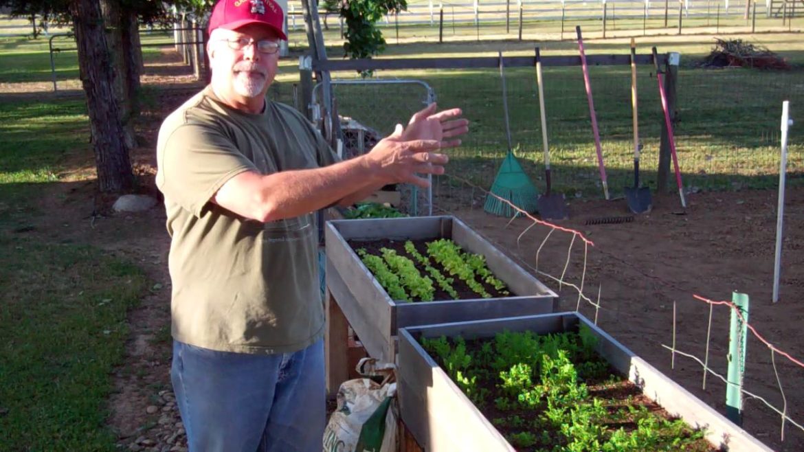 Green Garden TIPS - HOW-TO use Planting Strips