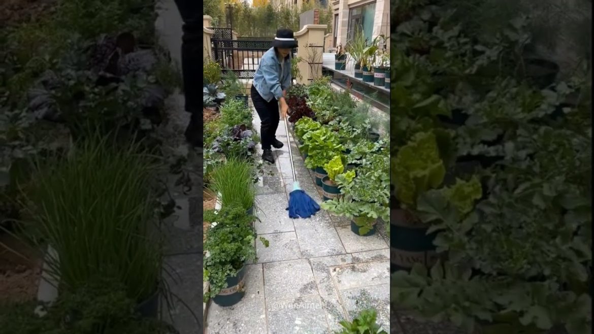 Beautiful Nature with Rural Life #shorts #naturalife #rurallife