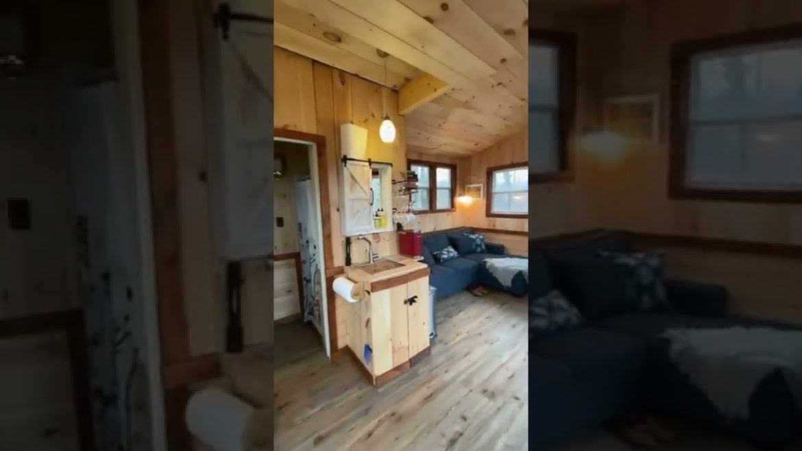 THIS LITTLE TREE HOUSE WILL MAKE YOU PEACE #shorts