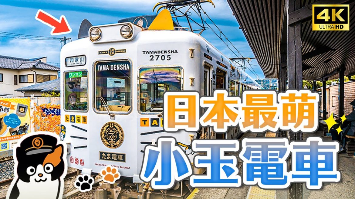 貓奴必搭🐱日本最可愛觀光列車！小玉電車開箱、貴志車站、小玉電車博物館號、必吃和歌山拉麵｜和歌山電鐵貴志川線一日遊・日本旅遊4K VLOG