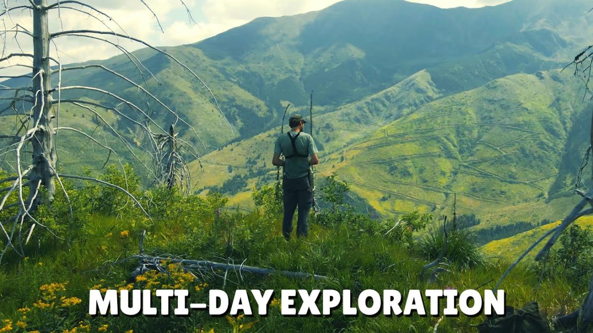 Tracking through Europe's rare WILDERNESS | Close encounter with BEAR & Cub! (Ep. 3)