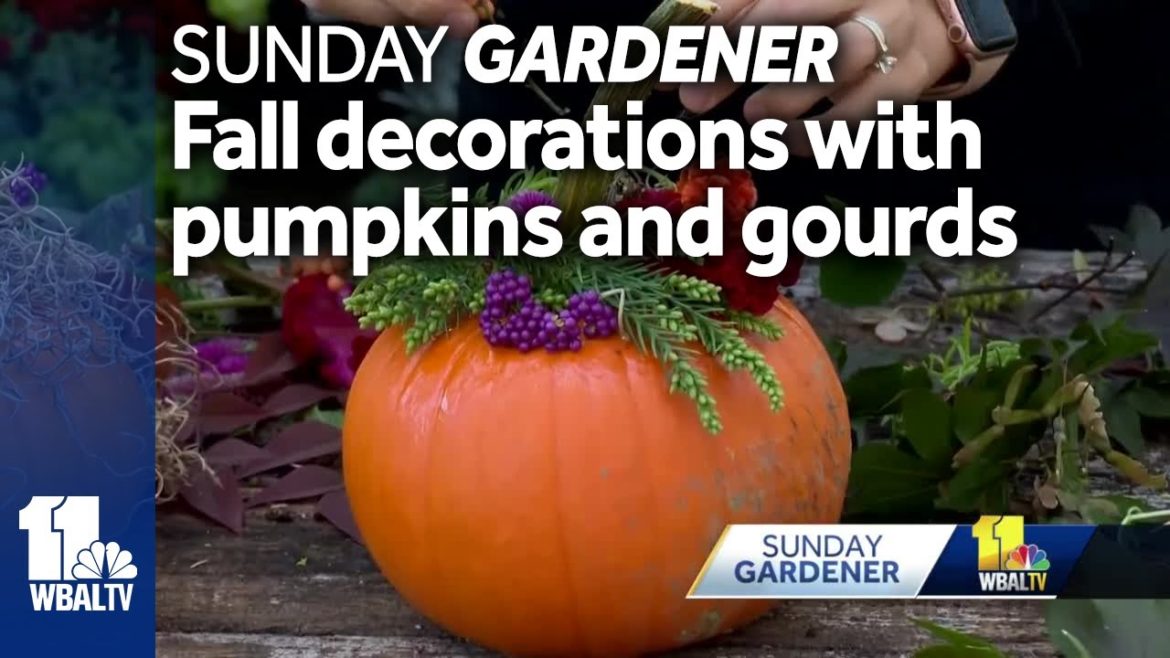 Sunday Gardener: Fall decorations with pumpkins and gourds