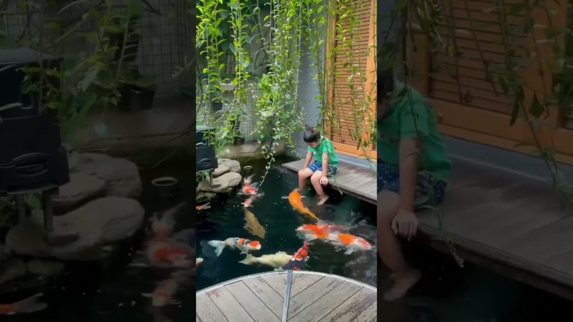 Boy with the Koi 🥰 Boy with the Koi 🥰