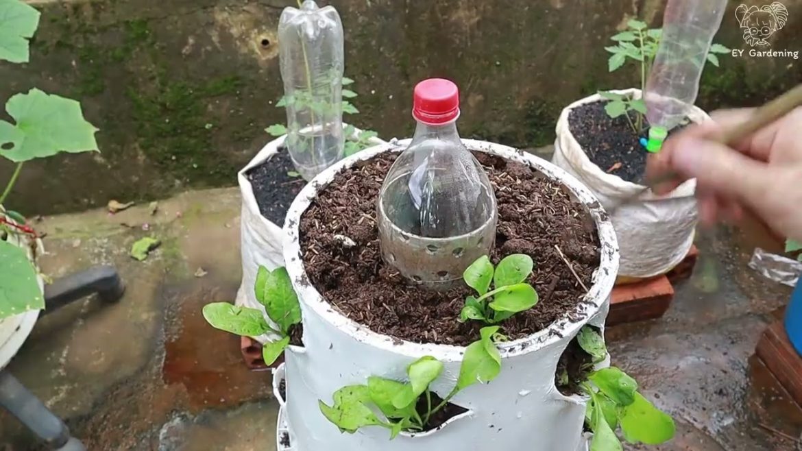 How to Set up a tower gardening -Part 1 How to Set up a tower gardening -Part 1