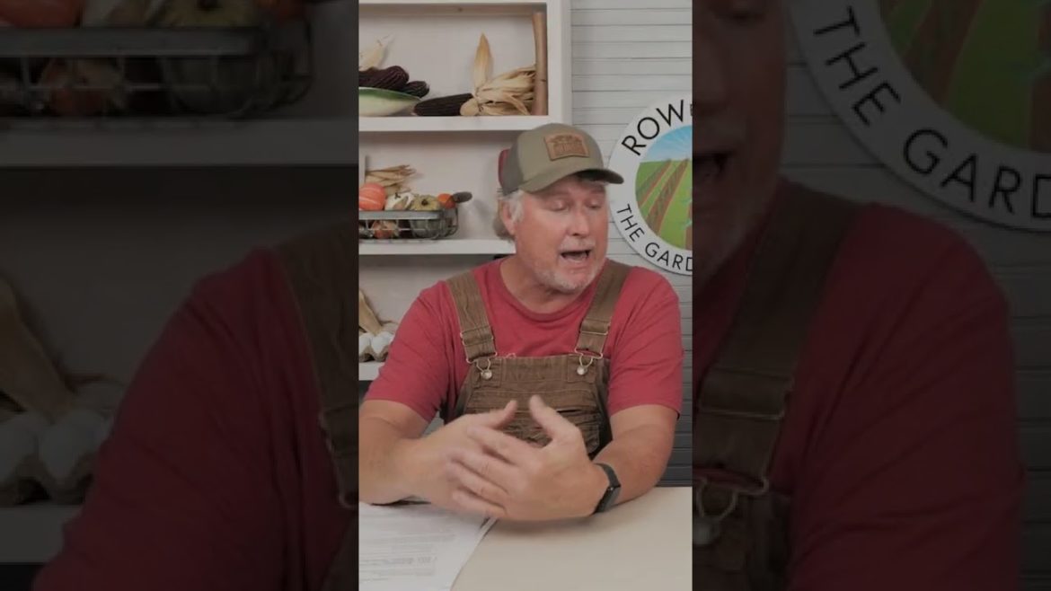 how to grow big strawberries #hosstools #growyourownfood #gardening