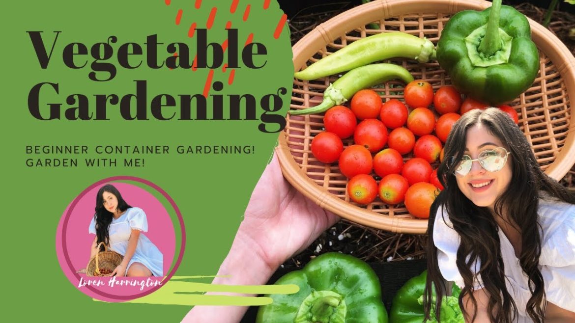 GARDEN WITH ME! | BEGINNER VEGETABLE CONTAINER GARDEN GARDEN WITH ME! | BEGINNER VEGETABLE CONTAINER GARDEN