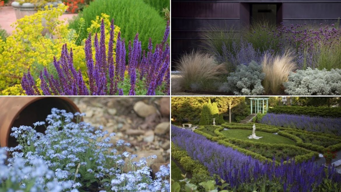 10 Lavender Garden Ideas